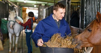 BEVA to hold online equine nutrition course